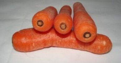 ¿Cuáles son los beneficios que aportan las zanahorias?