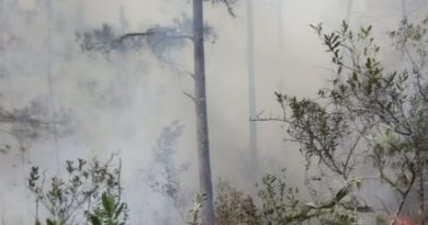 Autoridades dominicanas combaten un incendio forestal en zona de Pedernales