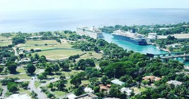 Exclusiva: Rep. Dominicana recibe esta semana 12 toques de cruceros con capacidad de hasta 46 mil visitantes