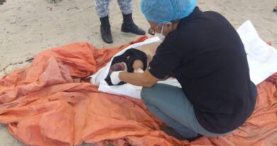 Hallan cadáver de una mujer en Montecristi; había salido hacia Bahamas en embarcación hace 5 días
