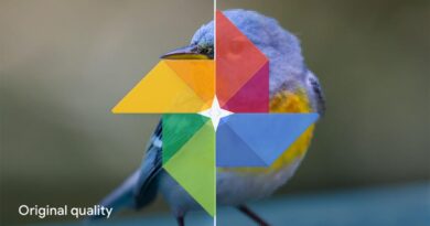 El modo alta calidad de Google Fotos podría dañar todas tus fotografías, según Google
