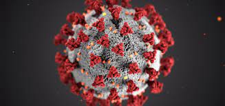 Coronavirus en Argentina: confirmaron 745 nuevas muertes y 35.543 contagios en las últimas 24 horas, récord para una jornada