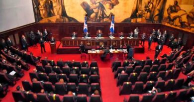 COVID-19 obliga a la Cámara de Diputados a realizar un alto en el estudio de los proyectos de ley