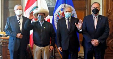 Pedro Castillo ante la OEA: "En el Perú tenemos corruptos hasta para exportar"