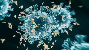 Descubren un anticuerpo ultrapotente contra las diferentes variantes del coronavirus