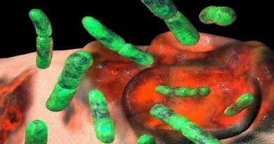 ALERTA :Aumentaron los contagios en el Reino Unido de una rara bacteria “comecarne” que se transmite sexualmente