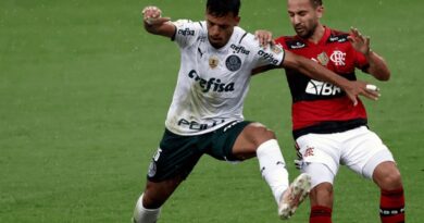 Palmeiras vs Flamengo por la Final de la Copa Libertadores: ¿Qué dicen las estadísticas?