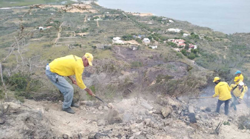 Bomberos forestales lograron extinguir incendio provocado por tendido eléctrico en Monte Cristi