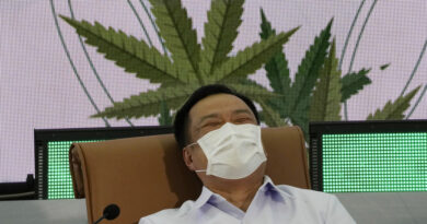 Tailandia repartirá gratis un millón de plantas de cannabis, pero pone una condición
