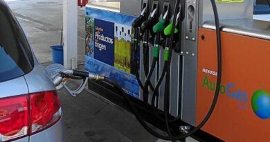 Gobierno congela precios de combustibles