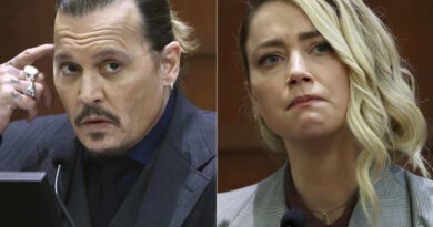 Heard busca anular veredicto a favor de Depp