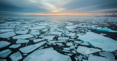 Estiman que en 2040 el Ártico tendrá el primer verano sin hielo