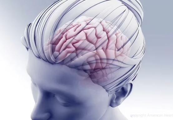 Expertos de Harvard alertan sobre consecuencias de no dormir lo suficiente