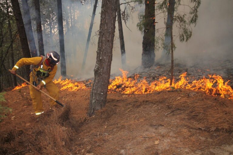 Más de 400.000 hectáreas arrasadas: los incendios no dan tregua a Chile y la emergencia continúa