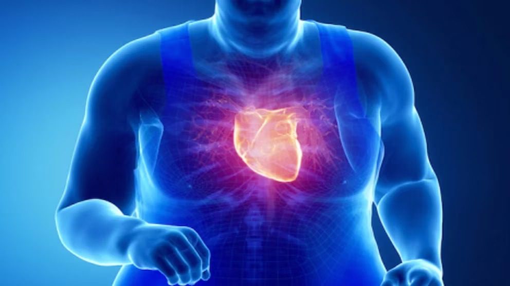 La obesidad dificulta el diagnóstico de las enfermedades cardiovasculares, según un experto de la Clínica Mayo de EEUU