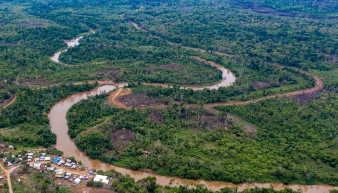 Panamá detiene delincuentes que robaban y abusaban de migrantes en la selva del Darién