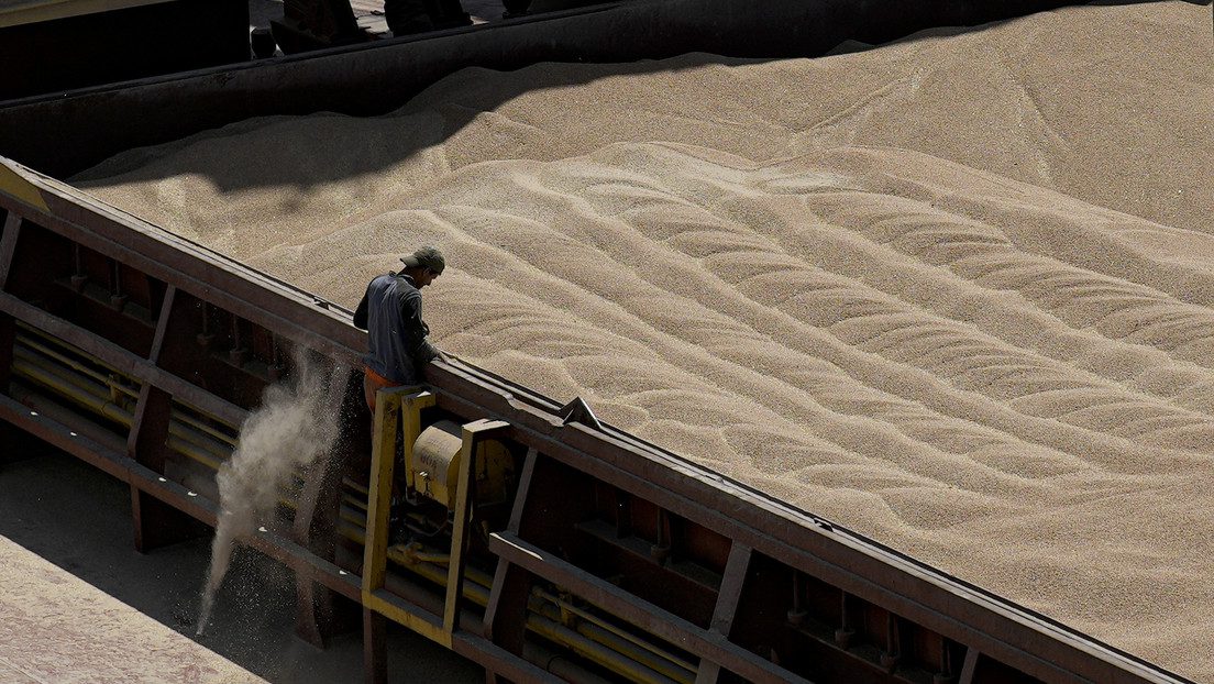 Un país más podría prohibir la importación de cereales ucranianos