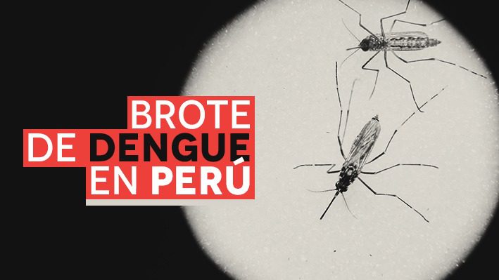 Más de 72 mil casos en cinco meses y 222 distritos bajo alerta sanitaria: Las claves del peor brote de dengue en Perú