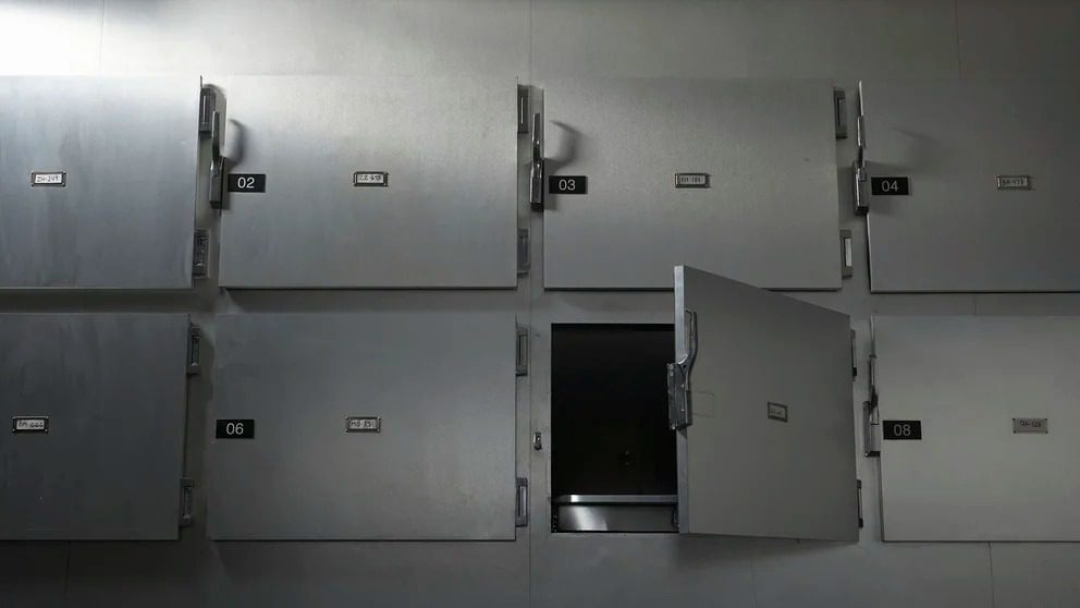 "Escándalo en Harvard: Ex director de la morgue acusado de macabro comercio de restos humanos"