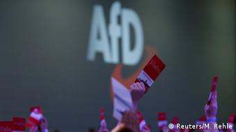 El partido de extrema derecha AfD ocupa el segundo lugar en intención de voto en Alemania, según encuesta