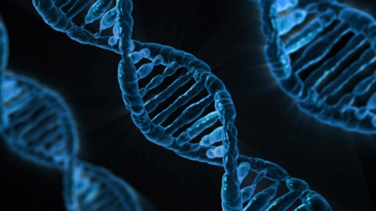 Desarrollan virus artificiales para su aplicación en terapias genéticas