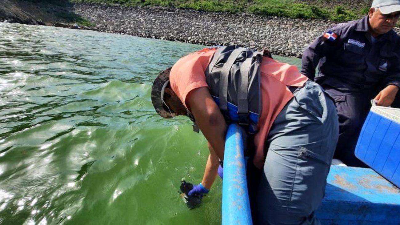 Resultados preliminares apuntan a que floración de algas pudo provocar muerte de peces en la presa de Hatillo