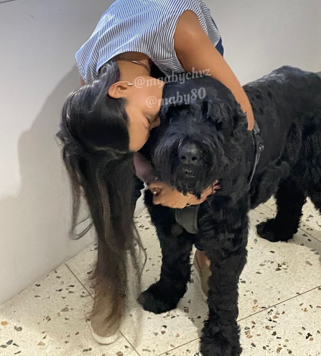 Muere Ruso, el perro que Putin le envió de regalo a Chávez