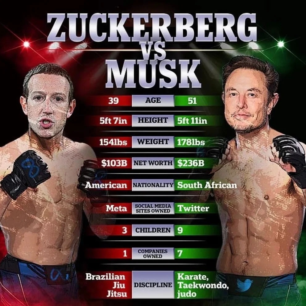 Elon Musk cree que está lesionado y podría postergar la pelea pactada contra Mark Zuckerberg