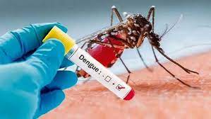 MSP asegura se mantiene vigilante ante aumento casos de dengue