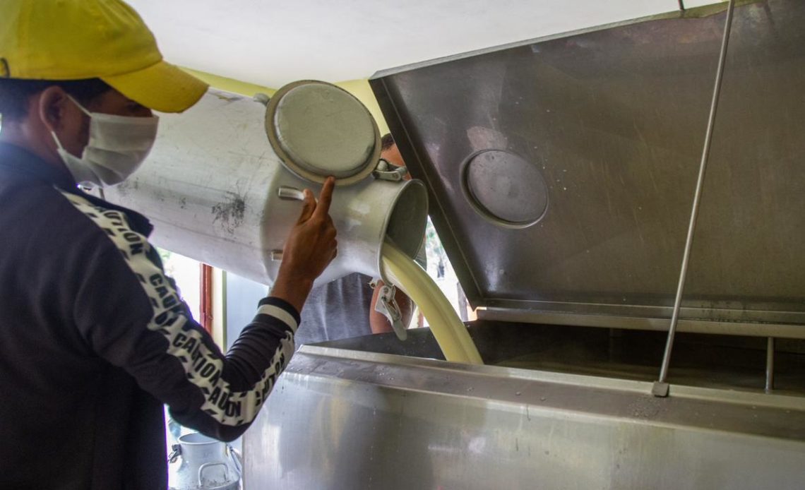 PLD dice ganadería va rumbo a la quiebra; importación de leche aumenta 63% respecto a 2019