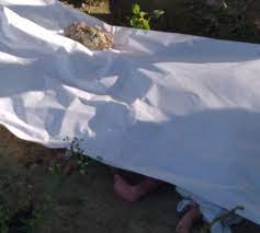 Cuerpos de recién nacidos fueron entregados a funeraria para sepultura, dice hospital