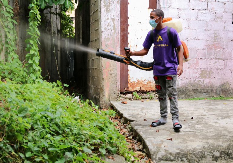 Luis Alberto aumenta operativos de fumigación ante descontrolado brote del dengue
