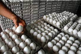 Gobierno dispone venta de cartones de huevos a 100 pesos en 76 supermercados