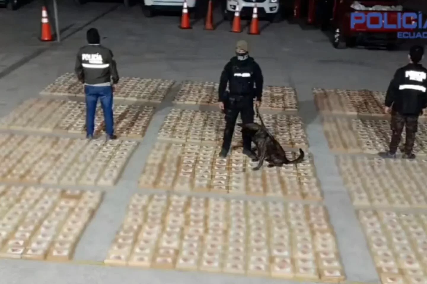 Policía ecuatoriana incauta más de media tonelada de cocaína escondida en cajas de banano