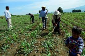 «Apoyo al agro es prioridad del gobierno»