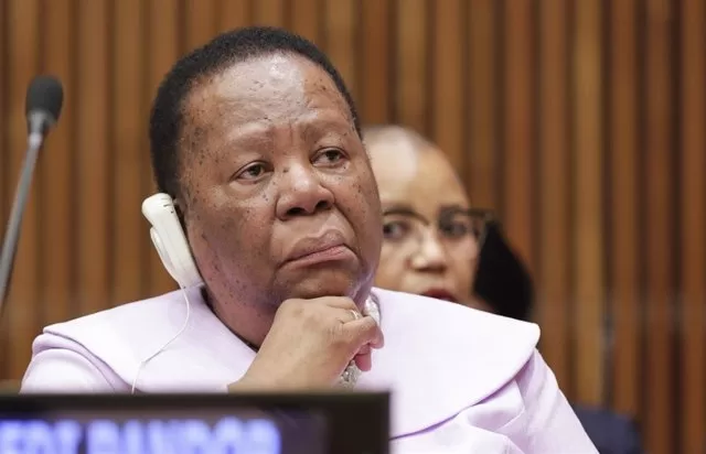 Israel niega acusaciones de la canciller sudafricana de intimidarla por la demanda en La Haya