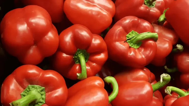 Beneficios y propiedades del pimiento rojo para la salud