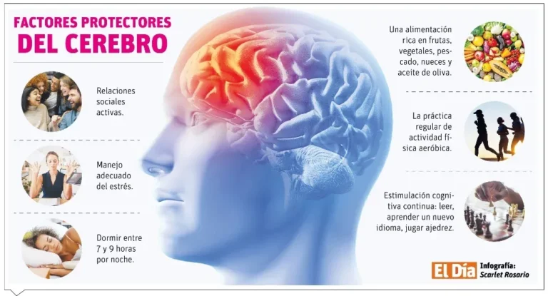 La salud cerebral debe ser puesta en primer lugar para preservar la vida