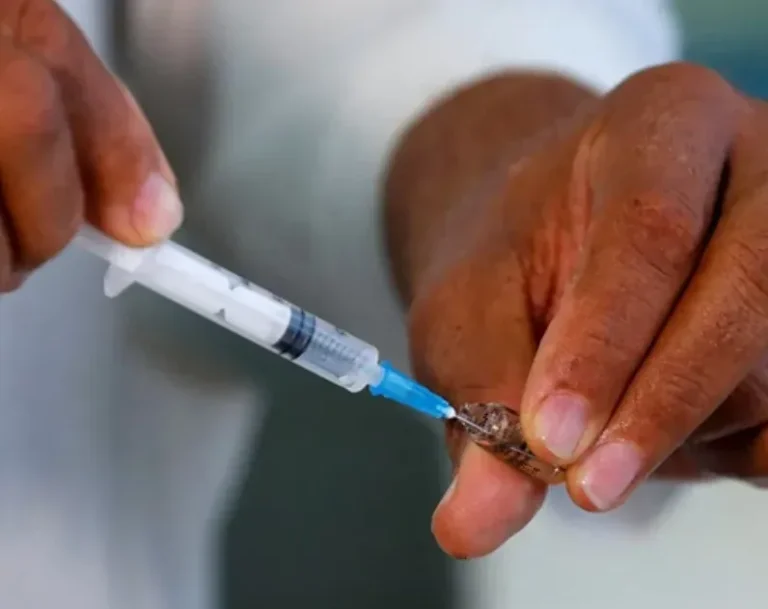 Sociedad Infectología pide reforzar vacunación ante alerta de sarampión