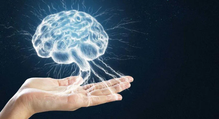 Una dieta rica en sal desencadena una inflamación cerebral que eleva la presión arterial