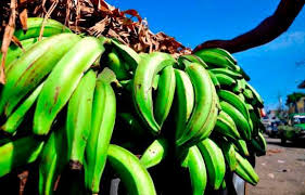 ¿Eres diabético?: para disfrutar del plátano