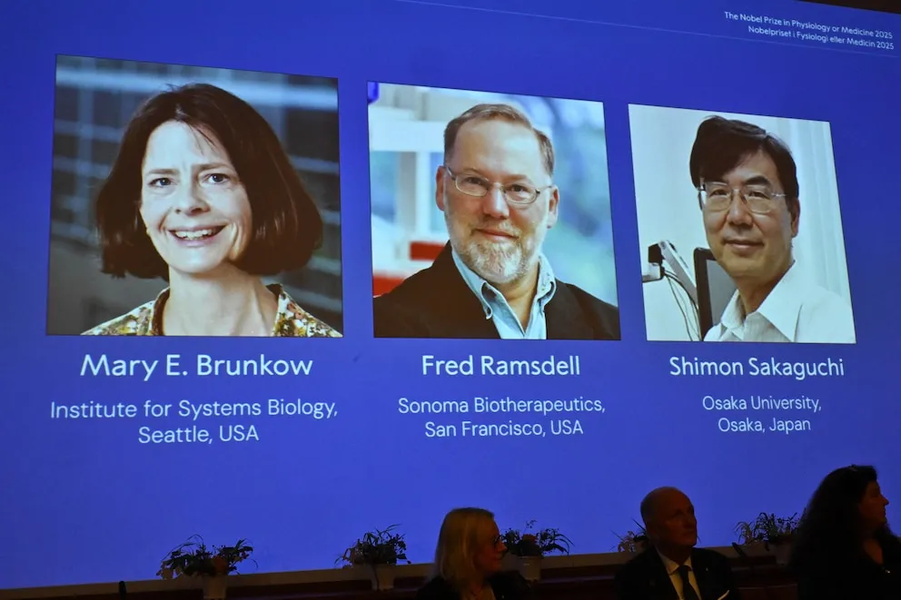 🧬 Brunkow, Ramsdell y Sakaguchi obtienen el Nobel de Medicina por descifrar el freno del sistema inmune