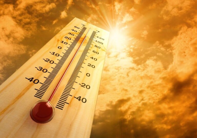 Efecto del cambio climático: las muertes vinculadas al calor aumentaron 23% en el mundo