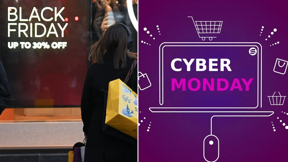 🛒 “Black Friday vs Cyber Monday: conoce sus diferencias para comprar inteligente”