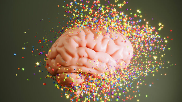 El cerebro puede cambiar drásticamente 5 veces en la vida y esto le pasa en cada etapa