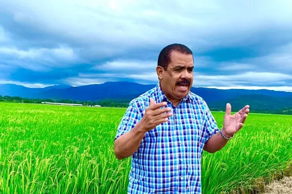 🍗 ¡CENA DE NAVIDAD EN PELIGRO! PLD ARREMETE CONTRA AGRICULTURA POR EL ALZA DESCONTROLADA DEL POLLO 📉🚫