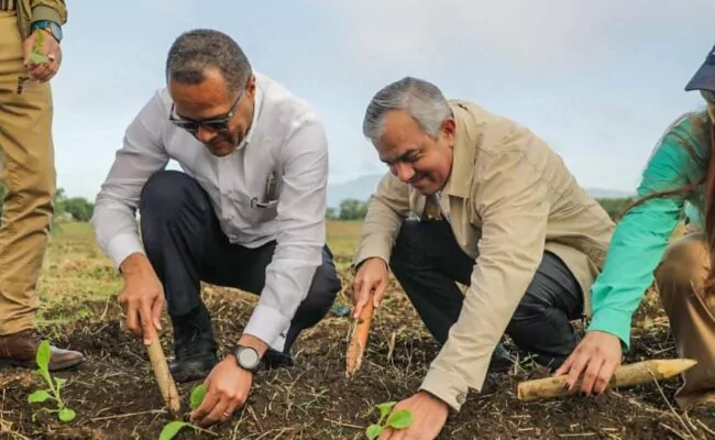 INTABACO e ISA inician formación en cultivo de tabaco; Iván Hernández destacó interés de la institución en la formación de futuros profesionales agropecuarios