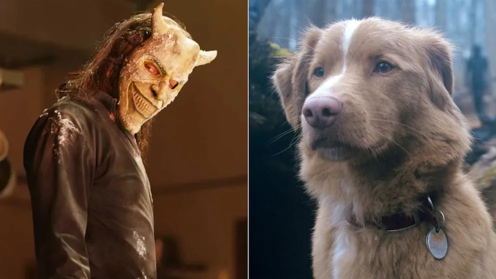 Indy, el perro actor de “Good Boy”, le ganó a Ethan Hawke y otros finalistas en los Astra Awards 2026