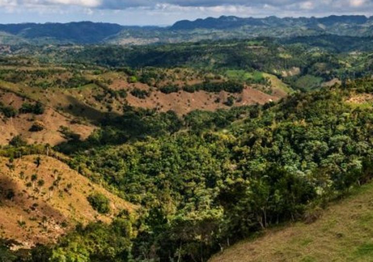 Vertrixi Holding asegura concesión minera solo permite exploración y no explotación