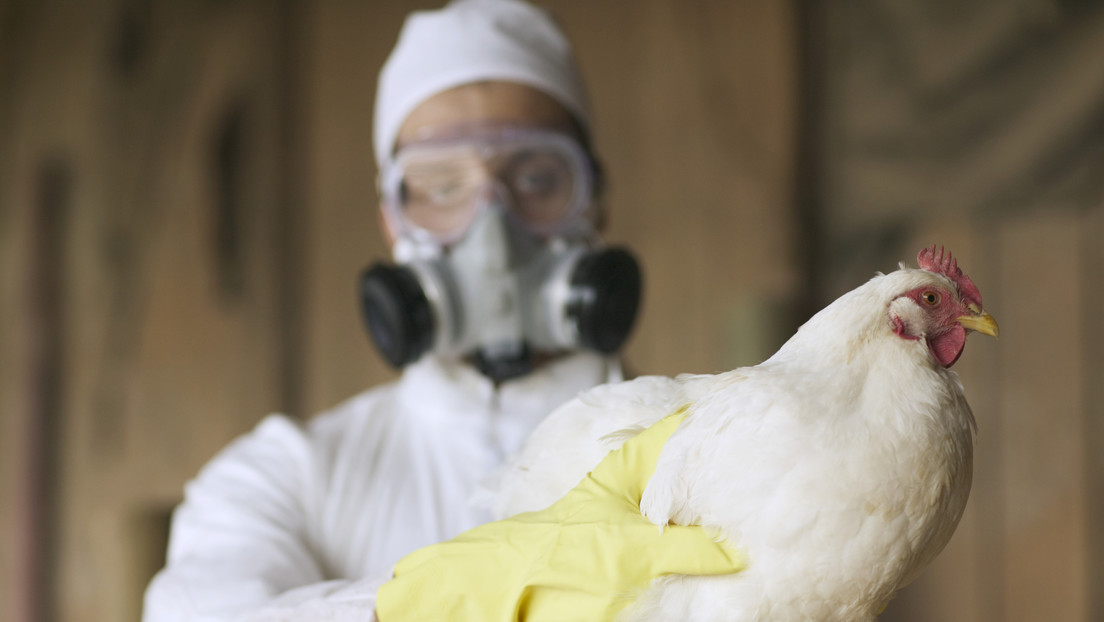 Los tres virus que podrían desencadenar una nueva crisis